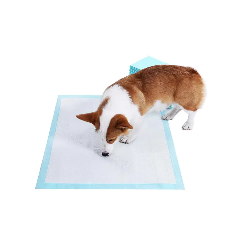 Online 100 Tapis éducateur animal M Tapis Éducateur